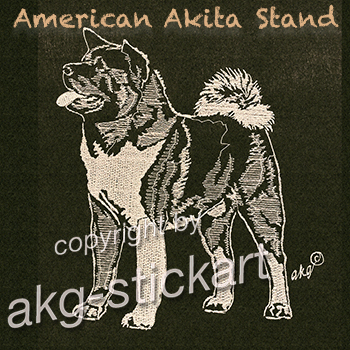 American Akita Inu Stand