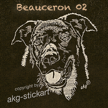 Beauceron 02