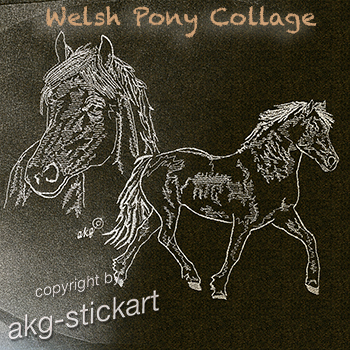 Welshpony Collage