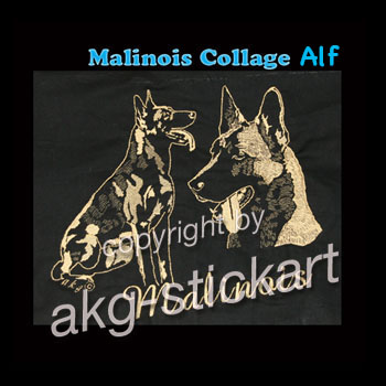 Malinois Collage Alf
