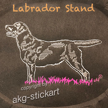 Labrador Stand