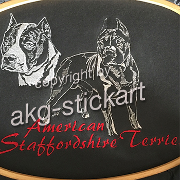 American Staffordshire Collage 