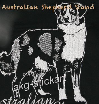 Australian Shepherd Stand