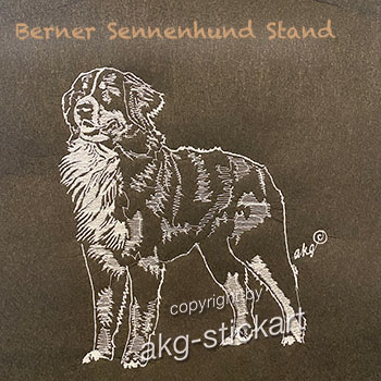 Berner Sennenhund Stand