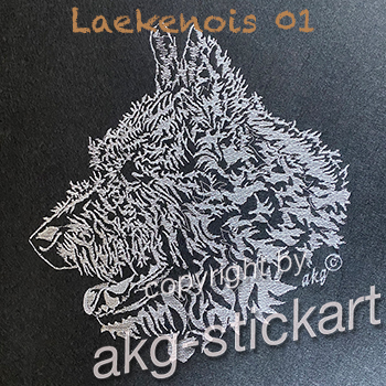 Laekenois 1