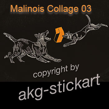 Malinois Collage 03