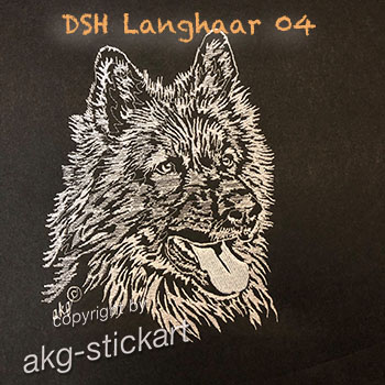 DSH Langhaar 04