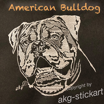 Amerikanische Bulldogge