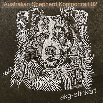 Australian Shepherd Kopfportrait 02