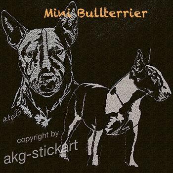 Mini Bullterrier