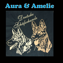 DSH Aura & Amelie
