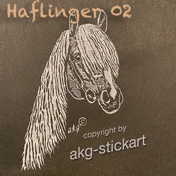 Haflinger 02