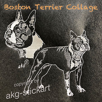 Boston Terrier Collage
