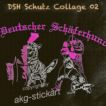 DSH Schutz Collage 02