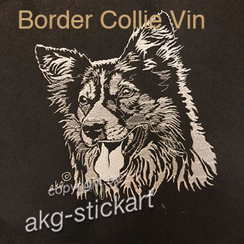 Border Collie Vin