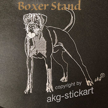 Boxer Stand