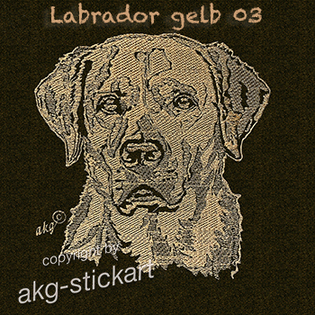 Labrador gelb 03