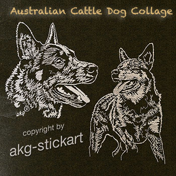Australian Cattledog