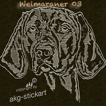 Weimaraner 03